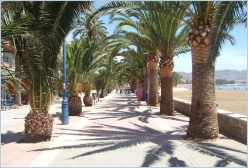 Casa Girasol - Penthouse With Sea View In Alamillo Appartement *